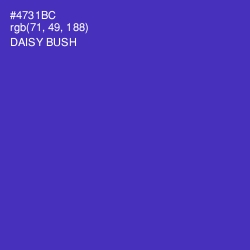 #4731BC - Daisy Bush Color Image